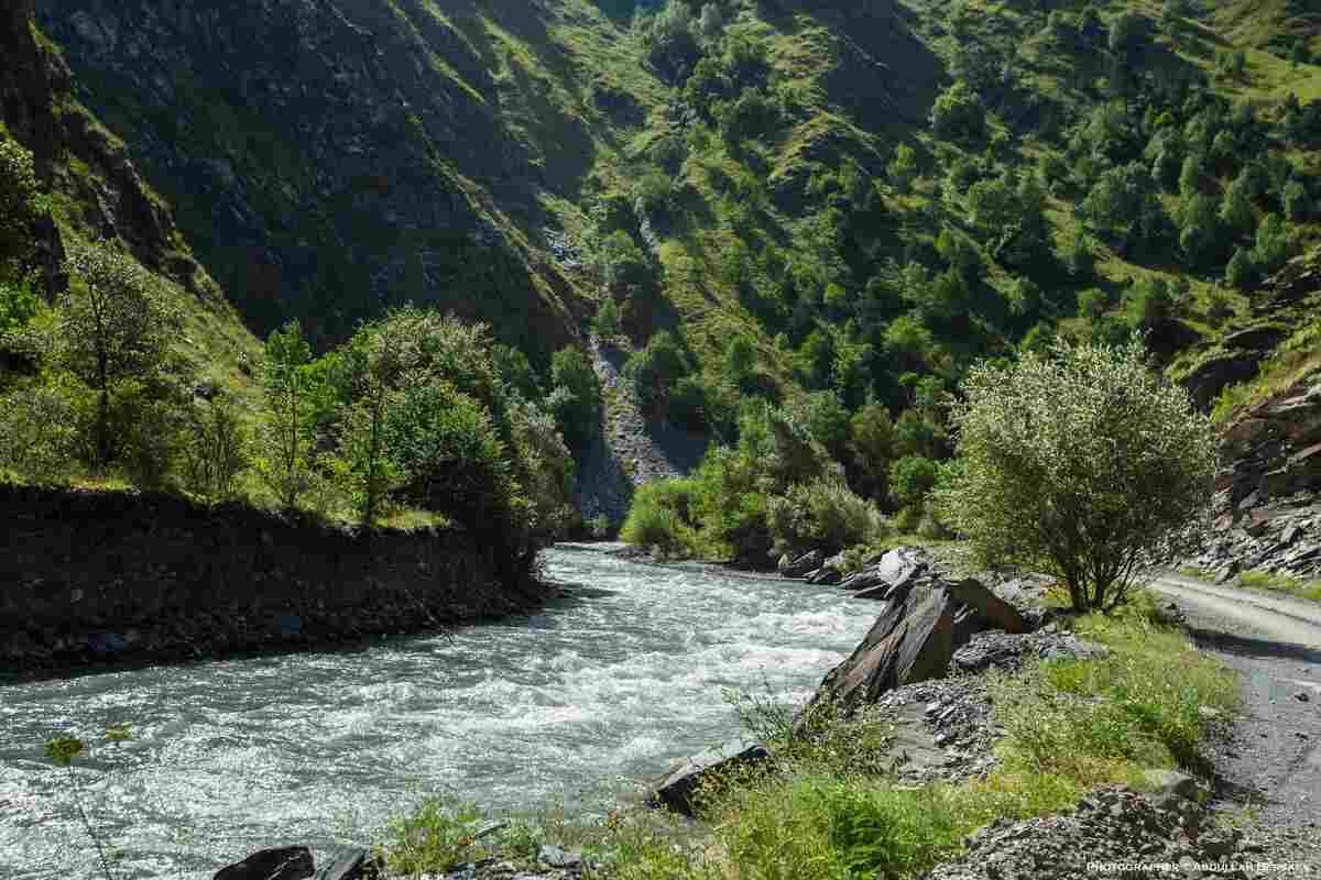 Экскурсия в Аргунское ущелье до Ведучи